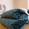 Plaid – Image 2